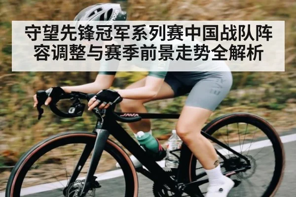 守望先锋冠军系列赛中国战队阵容调整与赛季前景走势全解析